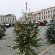  Zdobení stromečku na Masarykově náměstí