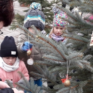 Zdobení vánočního stromu na Masarykově náměstí