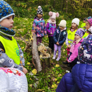 Den stromů ve  3. třídě