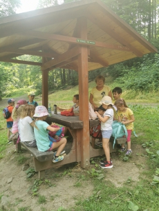 Fotogalerie Výlet 4. třídy k Oční studánce, foto č. 15