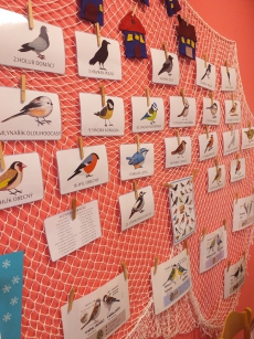 Fotogalerie Krmení ptáčků v zimě - 3. třída, foto č. 6