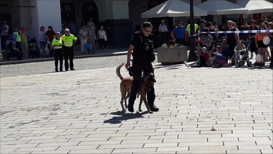 Fotogalerie 30 let výročí Městské policie, foto č. 18