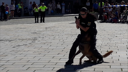 Fotogalerie 30 let výročí Městské policie, foto č. 20
