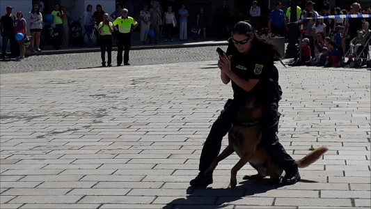 Fotogalerie 30 let výročí Městské policie, foto č. 20