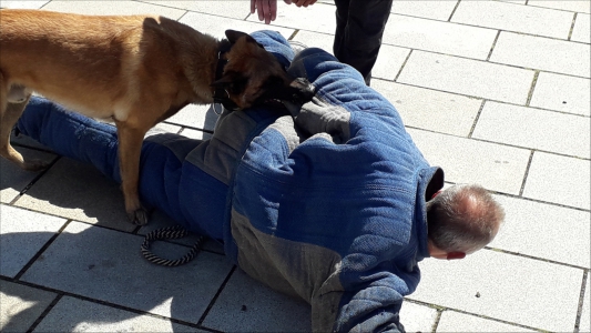 Fotogalerie 30 let výročí Městské policie, foto č. 29