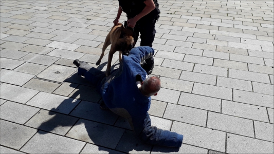 Fotogalerie 30 let výročí Městské policie, foto č. 31