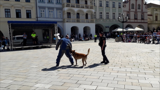 Fotogalerie 30 let výročí Městské policie, foto č. 34