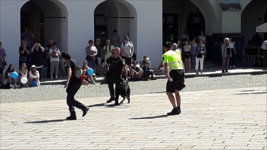 Fotogalerie 30 let výročí Městské policie, foto č. 38