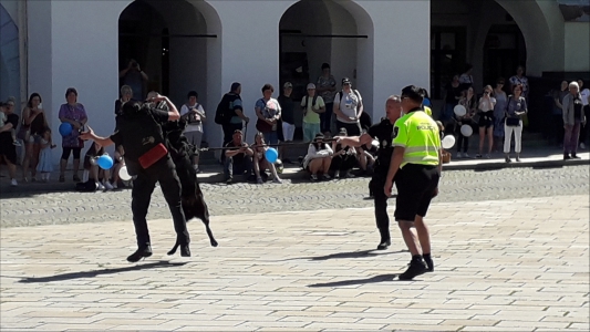 Fotogalerie 30 let výročí Městské policie, foto č. 40