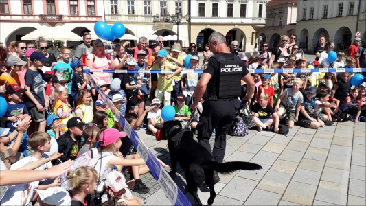 Fotogalerie 30 let výročí Městské policie, foto č. 44