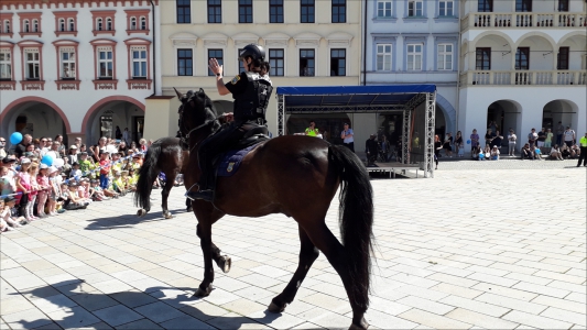 Fotogalerie 30 let výročí Městské policie, foto č. 49