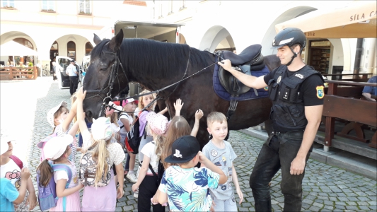 Fotogalerie 30 let výročí Městské policie, foto č. 61