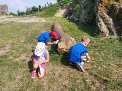 Fotogalerie Výšlap na hrad Starý Jičín s hádankou, foto č. 36