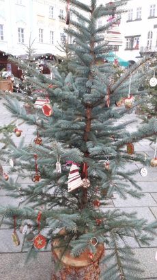 Fotogalerie Zdobení vánočního stromu, foto č. 8