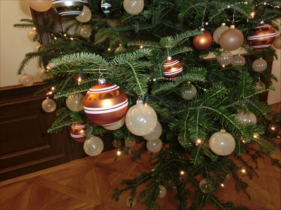 Fotogalerie Vánoce na Zámku v Lešné u Valašského Meziříčí, foto č. 86