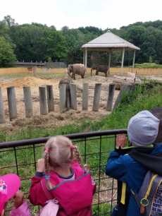 Fotogalerie Výlet do ZOO Ostrava, foto č. 13