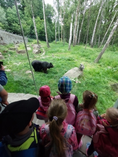 Fotogalerie Výlet do ZOO Ostrava, foto č. 14