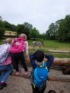 Fotogalerie Výlet do ZOO Ostrava, foto č. 24