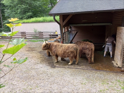 Fotogalerie Výlet do ZOO Ostrava, foto č. 70