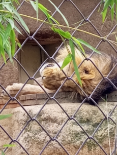 Fotogalerie Výlet do ZOO Ostrava, foto č. 73