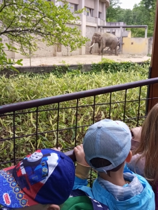 Fotogalerie Výlet do ZOO Ostrava, foto č. 75