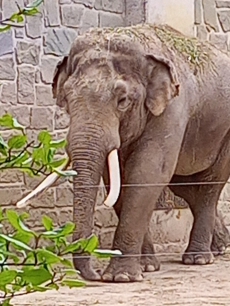 Fotogalerie Výlet do ZOO Ostrava, foto č. 76