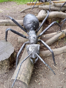 Fotogalerie Výlet do ZOO Ostrava, foto č. 87