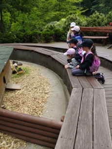 Fotogalerie Výlet do ZOO Ostrava, foto č. 40