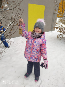 Fotogalerie Kam letíš ptáčku?, foto č. 7