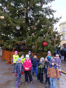 Fotogalerie Návštěva vánočních trhů na Masarykově náměstí - 3. třída, foto č. 14