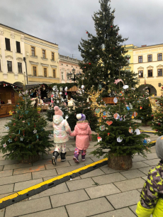 Fotogalerie Roztomilá BRUM výstava - 1. a 2. třída, foto č. 27