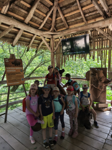 Fotogalerie Výlet do ZOO - 3. a 4. třída, foto č. 3
