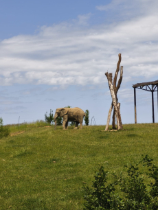 Fotogalerie Výlet do ZOO - 3. a 4. třída, foto č. 7