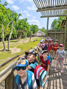 Fotogalerie Výlet do ZOO - 3. a 4. třída, foto č. 8