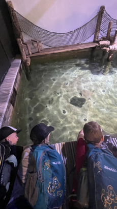 Fotogalerie Výlet do ZOO - 3. a 4. třída, foto č. 5