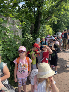 Fotogalerie Výlet do ZOO - 3. a 4. třída, foto č. 11