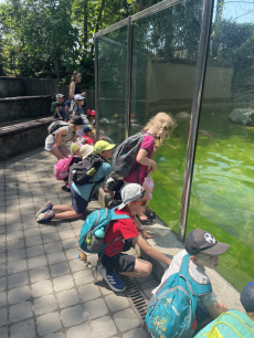 Fotogalerie Výlet do ZOO - 3. a 4. třída, foto č. 13