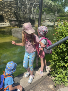 Fotogalerie Výlet do ZOO - 3. a 4. třída, foto č. 14