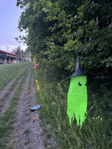 Fotogalerie Druhý den školky v přírodě – výpravy, týmové hry a večerní stezka odvahy, foto č. 7