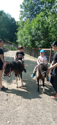 Fotogalerie Výlet do MINIZOO Horečky - 1. a 2. třída, foto č. 15
