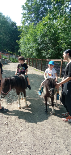 Fotogalerie Výlet do MINIZOO Horečky - 1. a 2. třída, foto č. 16