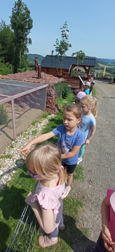 Fotogalerie Výlet do MINIZOO Horečky - 1. a 2. třída, foto č. 22