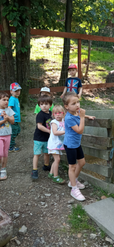 Fotogalerie Výlet do MINIZOO Horečky - 1. a 2. třída, foto č. 27