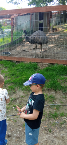 Fotogalerie Výlet do MINIZOO Horečky - 1. a 2. třída, foto č. 30