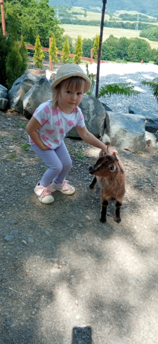 Fotogalerie Výlet do MINIZOO Horečky - 1. a 2. třída, foto č. 35