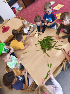 Fotogalerie Skřítek Šípek a víla Sedmikráska ve 3. třídě, foto č. 6