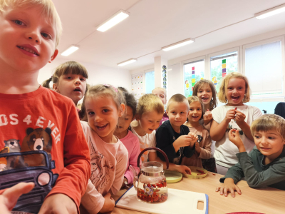 Fotogalerie Skřítek Šípek a víla Sedmikráska ve 3. třídě, foto č. 7