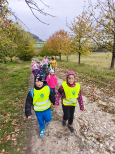 Fotogalerie Den stromů ve  3. třídě, foto č. 1
