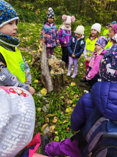 Fotogalerie Den stromů ve  3. třídě, foto č. 2