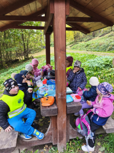 Fotogalerie Den stromů ve  3. třídě, foto č. 4